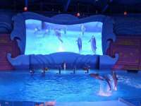 哈尔滨市韩香缘炉具有限公司