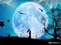 哈尔滨市韩香缘炉具有限公司