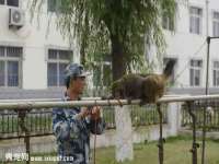 哈尔滨市韩香缘炉具有限公司