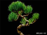 哈尔滨市韩香缘炉具有限公司