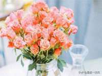哈尔滨市韩香缘炉具有限公司