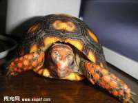 哈尔滨市韩香缘炉具有限公司