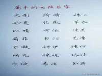 哈尔滨市韩香缘炉具有限公司
