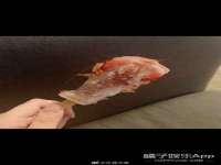 哈尔滨市韩香缘炉具有限公司
